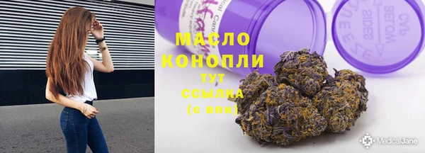 индика Белокуриха