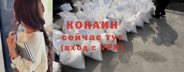 индика Белокуриха