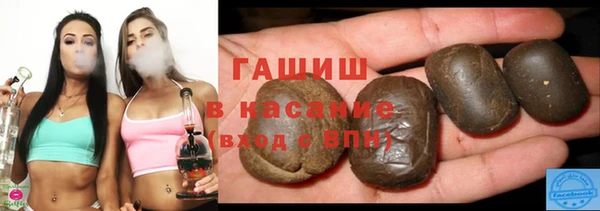 индика Белокуриха