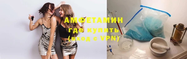 индика Белокуриха