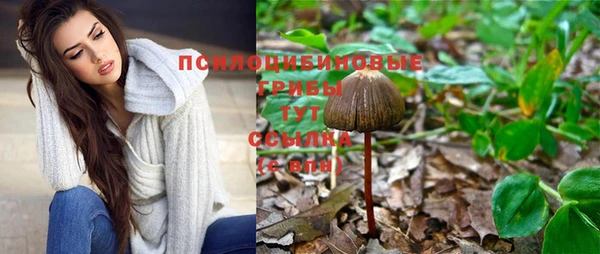 индика Белокуриха