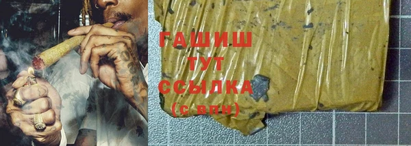 индика Белокуриха
