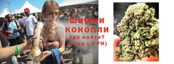 индика Белокуриха