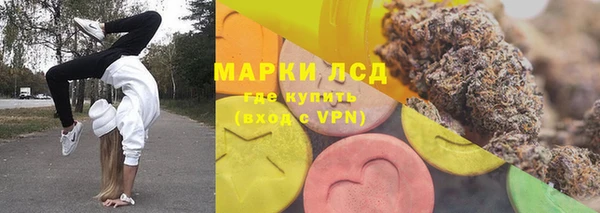 индика Белокуриха