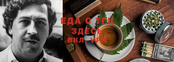 индика Белокуриха