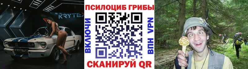 Псилоцибиновые грибы ЛСД  Берёзовский 